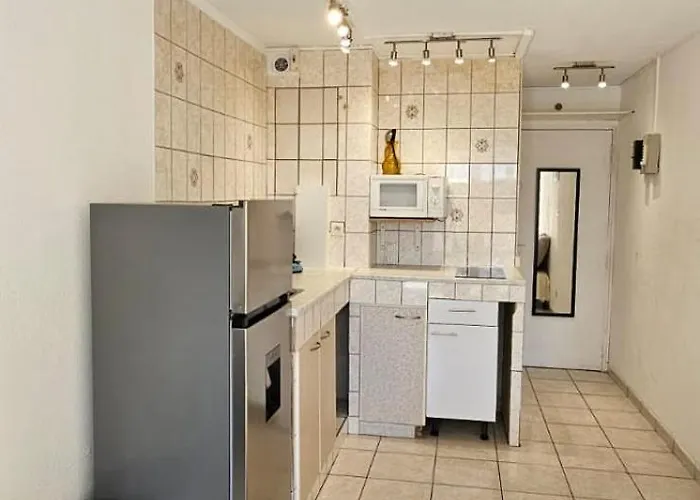 Le Paradis Du Port Cozy Near Port And Beaches In Cap Dagde アグド